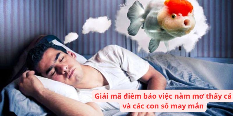 Giải mã điềm báo việc nằm mơ thấy cá và các con số may mắn